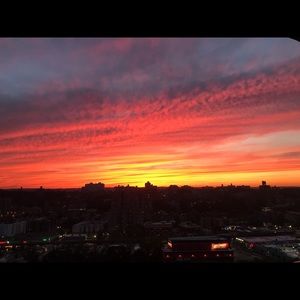 Meet your Posher, Rosa